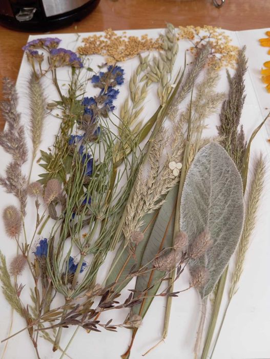 Ładne kwiaty suszone sprzedam