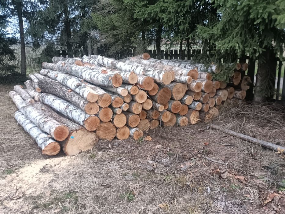 Drewno opałowe brzoza