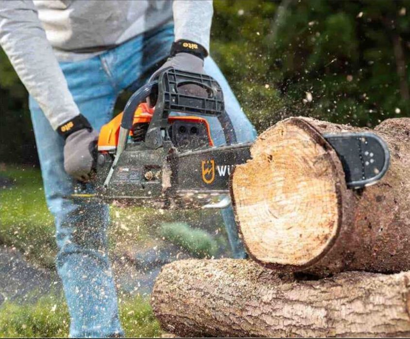 Wycinka drzew owocowych i nie tylko oraz  pielegnacja .