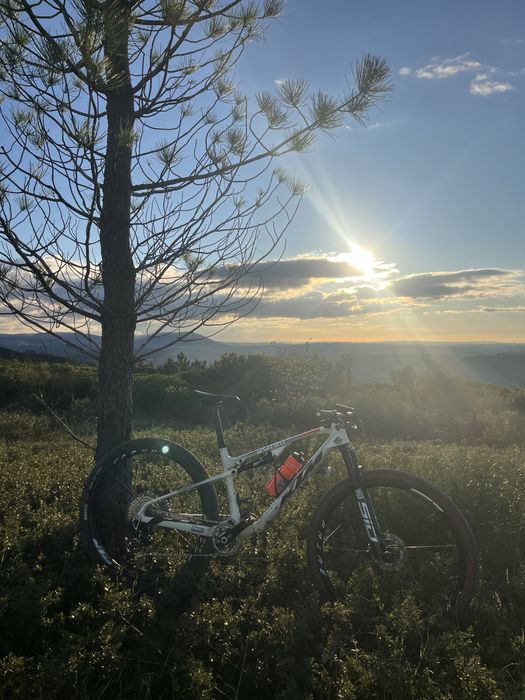 Ktm scarp 2025 T-M