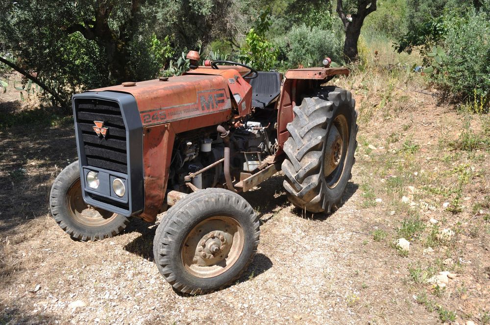 massey  Ferguson  245