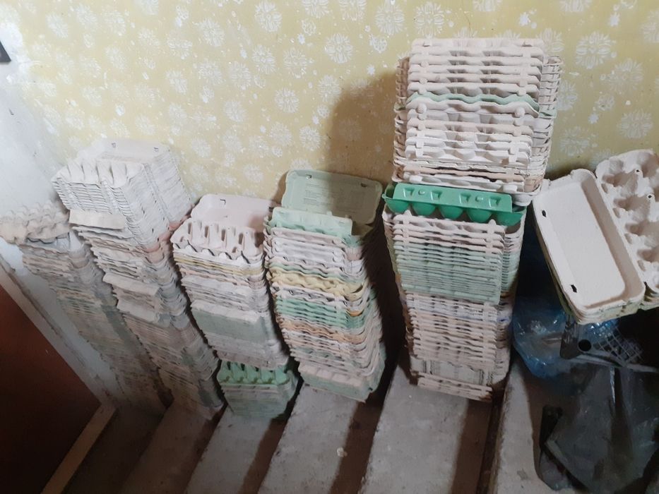 Wytłaczanki na 10 jajek