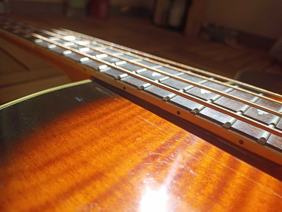 Aria pro FEB-DLX, bas akustyczny, gitara basowa
