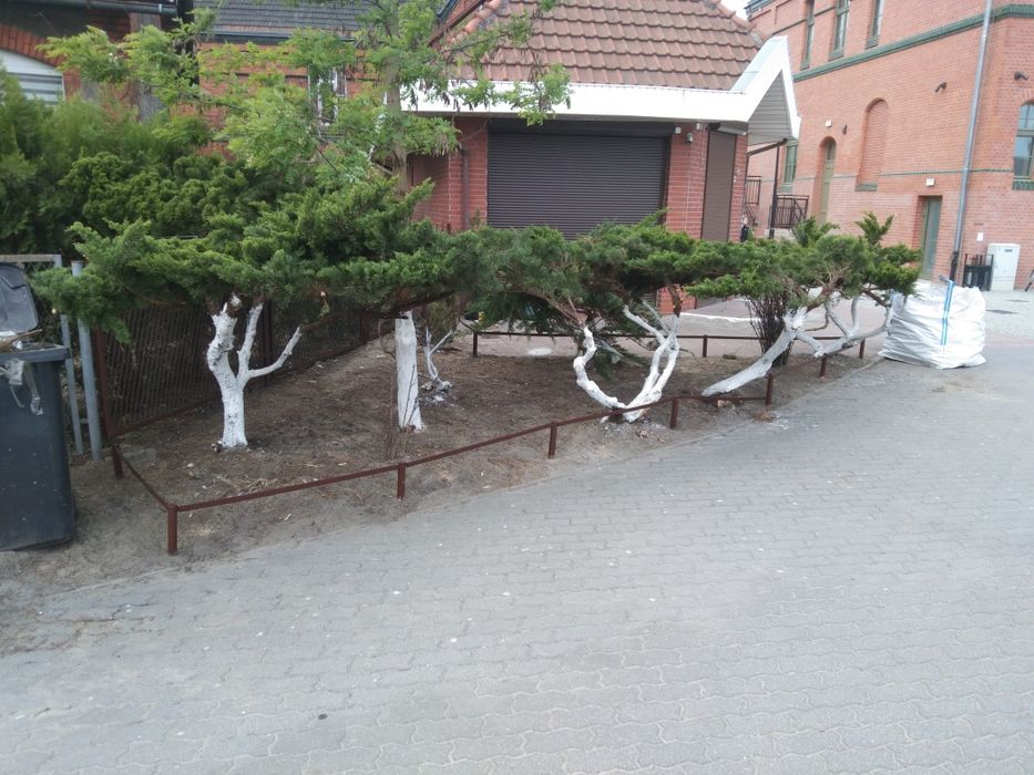 Ogrodnik. Usuwanie pni. Mycie okien.