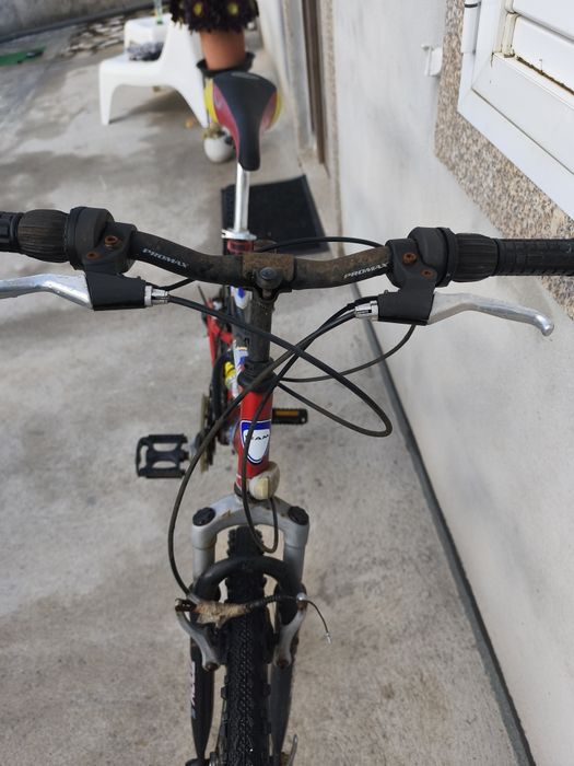 Bicicleta para adulto