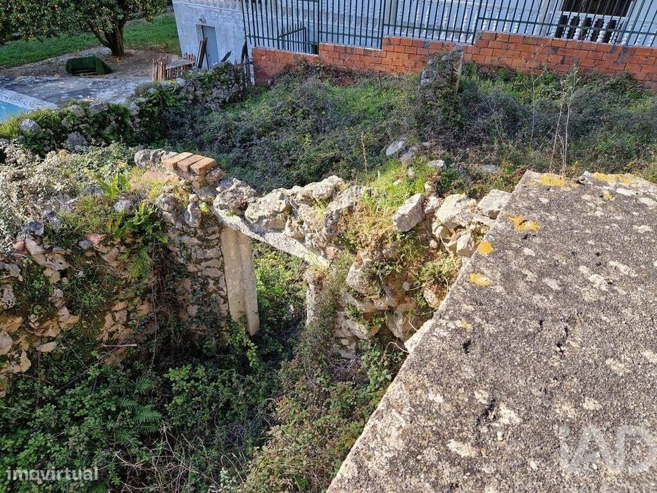 Comércio diverso em Porto de Mós - São João Baptista e São Pedro de 10