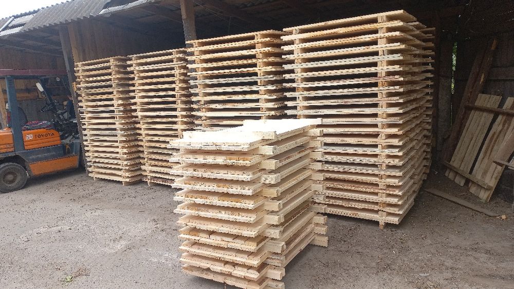 Щити, для равликів