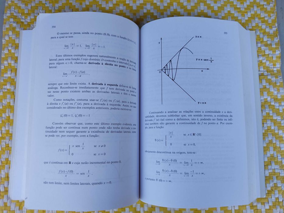 Introdução à análise matemática 
 J. Campos Ferreira