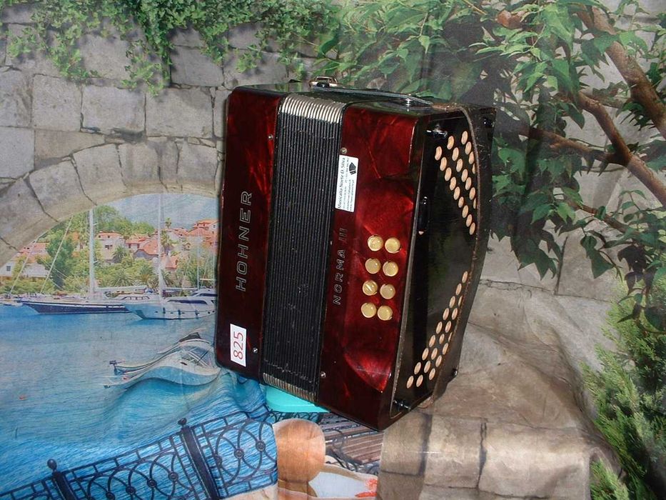 Concertina a venda n.825