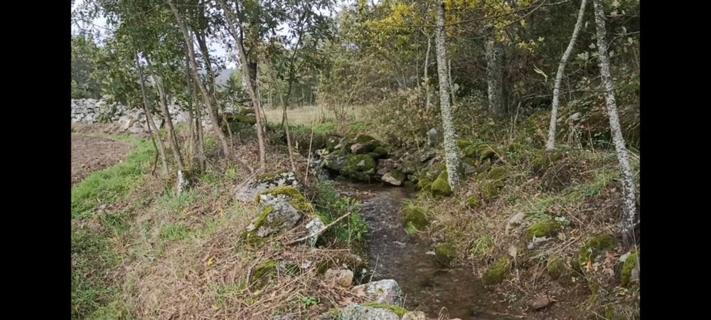 Terreno com 1,6h e viabilidade de construção apoio agricola