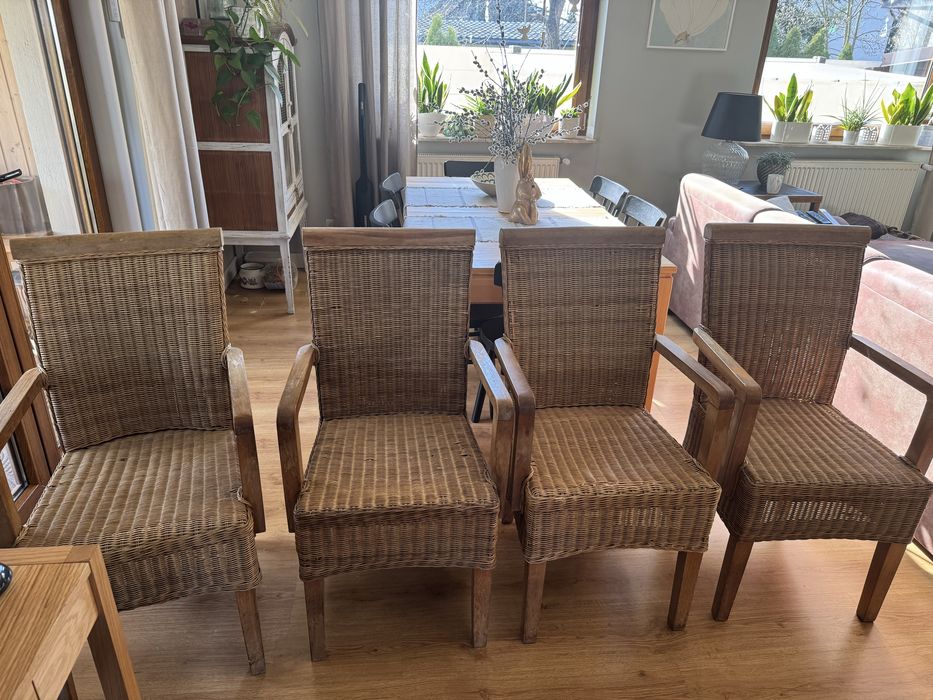 4 krzesła ratan + drzewo