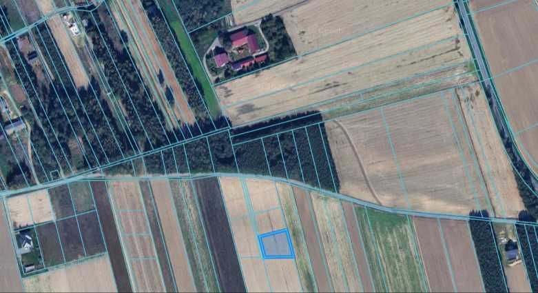 4 Działki od 1111 m² do 1517 m² z przeznaczeniem zabudowy mieszkaniowej w Kolonii Krasienin - Widok 5