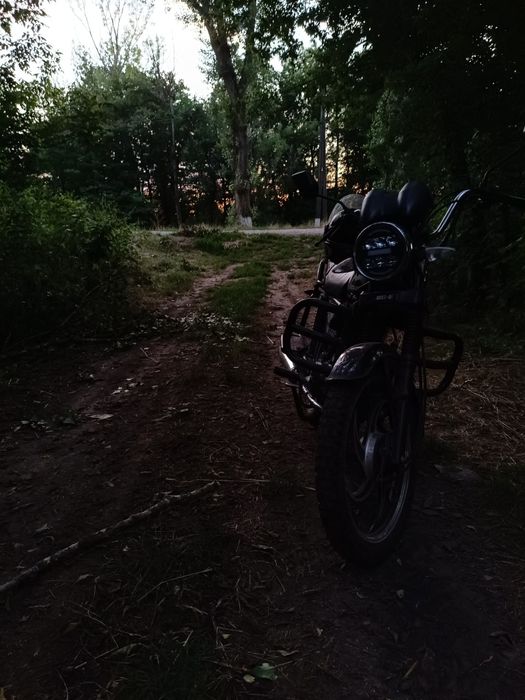 Мустанг альфа ..