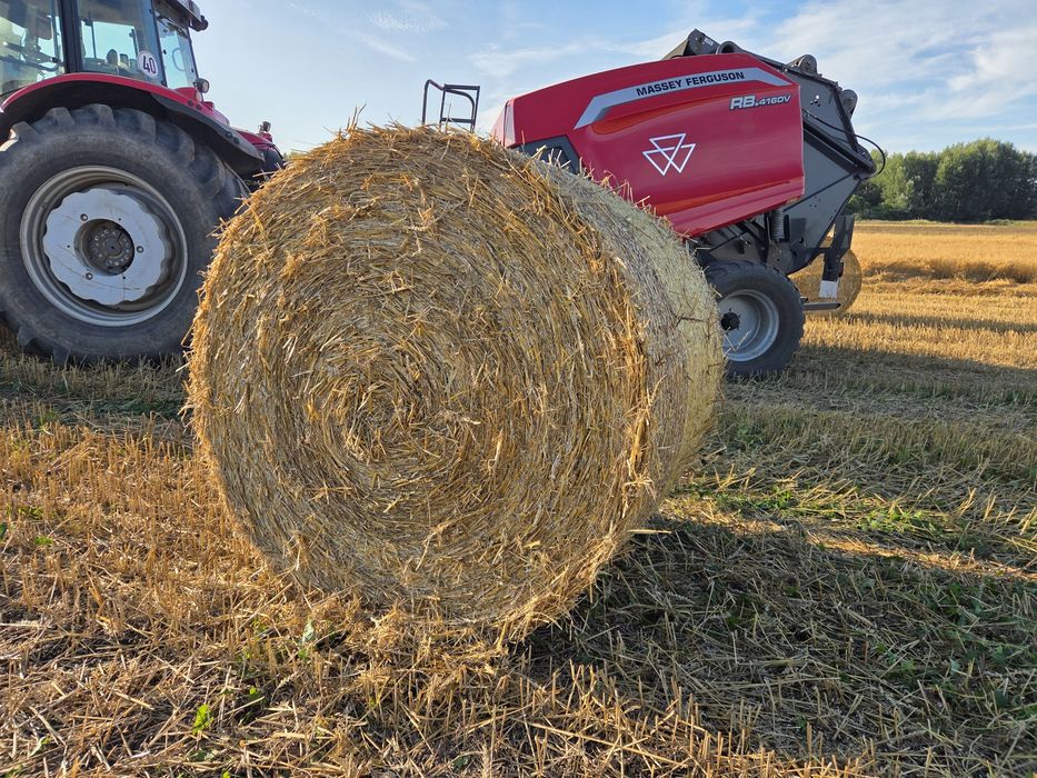Słoma TRANSPORT GRATIS  bele 130