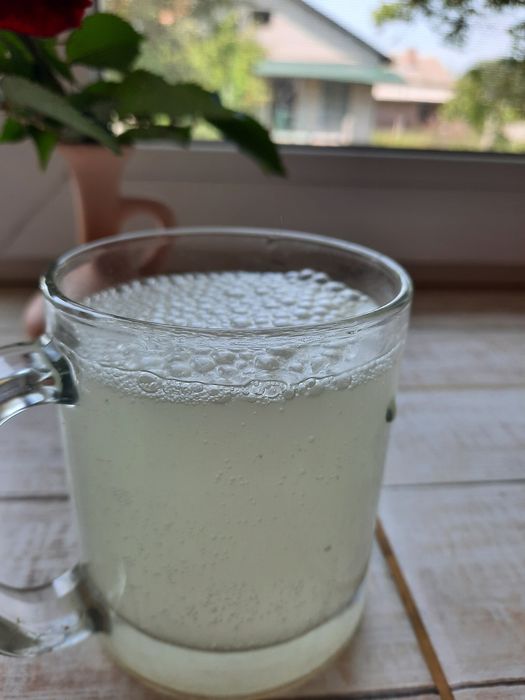 Продається  Квас з бузини, газований. Шампанське!  Дуже  смачний та корисний