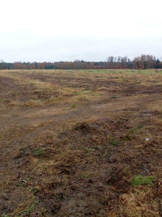 Ziemia rolna 11,2 ha fotowoltaika