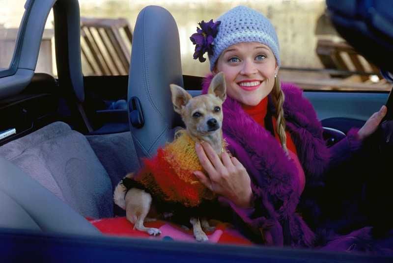 LEGALMENTE LOURA 1 e 2 (Reese Witherspoon/Luke Wilson) E inteligência?