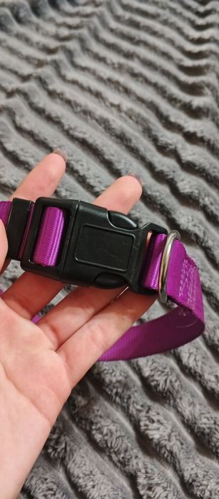 Ошейник для собак середніх порід