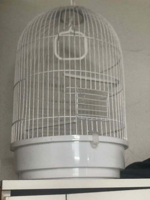 Gaiola pássaro  ou outro animal