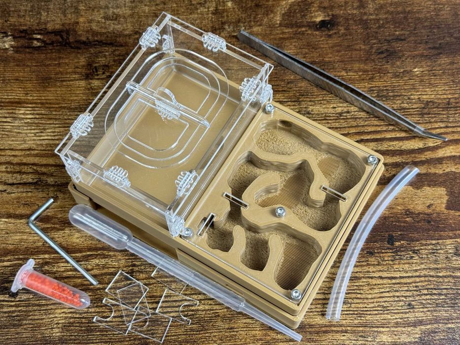 Комплект мурашина ферма Мрія новачка + мурахи messor structor (жнець)