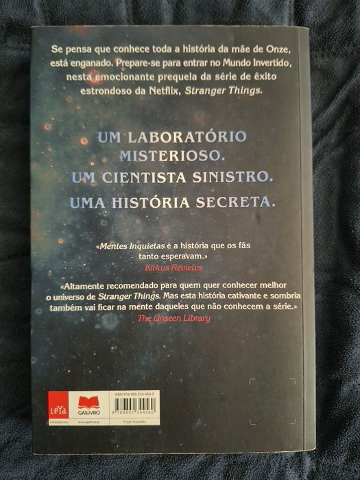 Livro Stranger Things - Mentes Inquietas