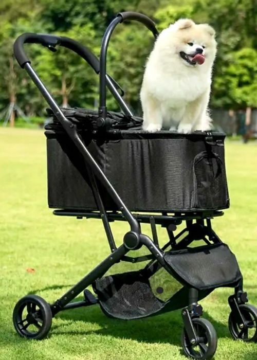 Transporter, wózek dla kota, psa