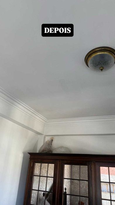 Tratamento de Bolor e Humidade em Habitações