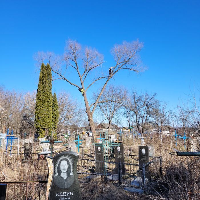 Спилювання,видалення дерев в будь якому місці,будь якої складності!