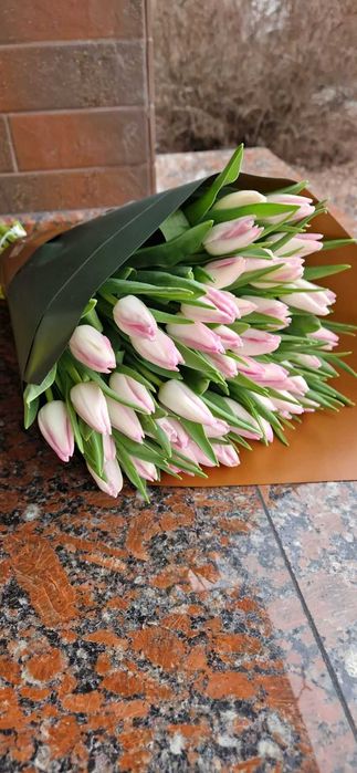 Передзамовлення! Тюльпан до 8 березня!