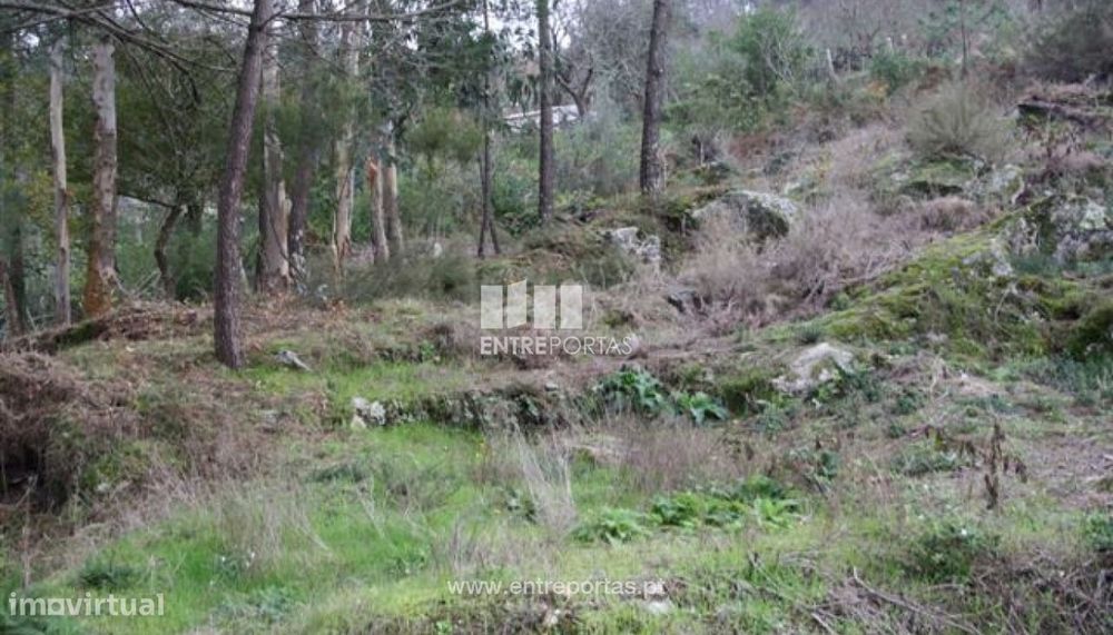 Terreno para venda, Azevedo, Caminha — Venade E Azevedo, Viana do Castelo