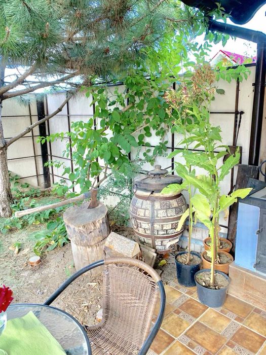 House by the address st. Mikhaylovskaya Industrialnaya (area 370 m²) - Atlanta.ua - photo 21