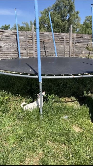 Батут 4 метри ДЕШЕВО