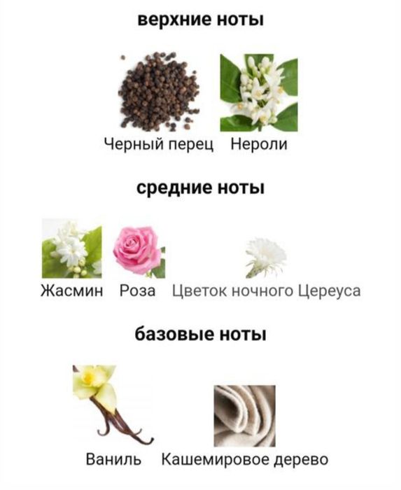 Фланкер Black XS L'Exces