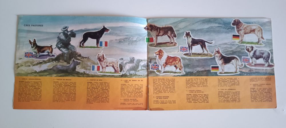 Caderneta Cães de Raça "Olá"