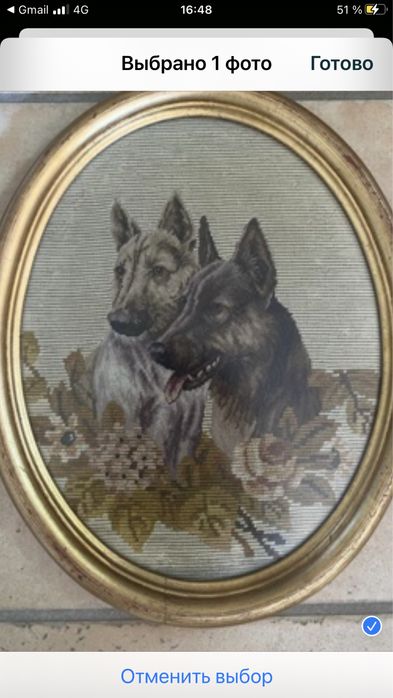 портрет овчарок вышивка