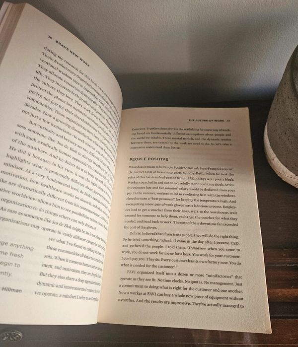 Brave new work: are you ready to reinvent your organization?