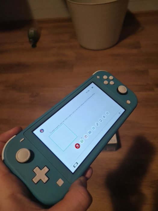 Nintendo switch lite