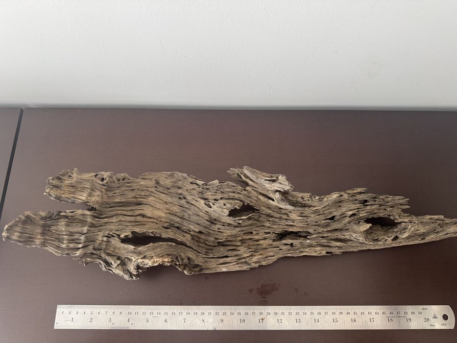 Tronco natural XXL para aquário (61 cm)