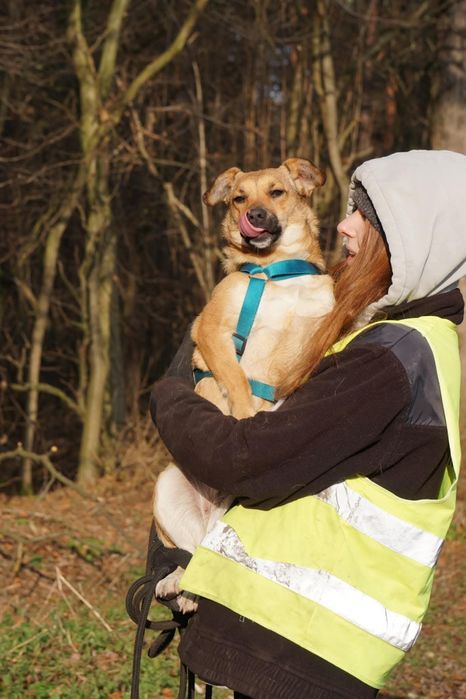 Mijunia , malutka mloda sunia czeka na dom