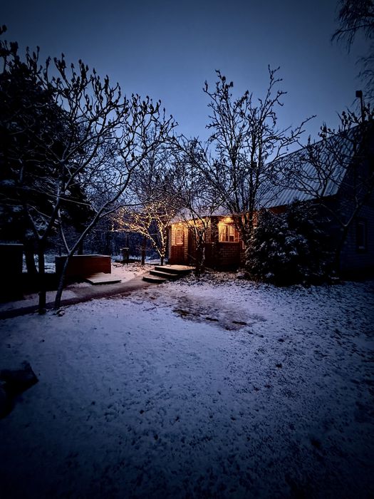 Аренда дом в лесу чан баня