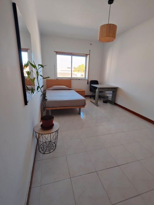 Quarto Soltero para alugar