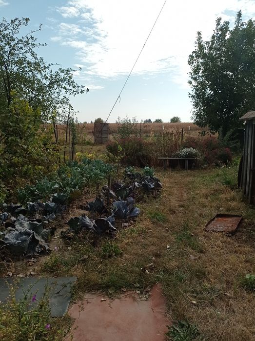 Будинок в 100км від Київа. Село Чемер.