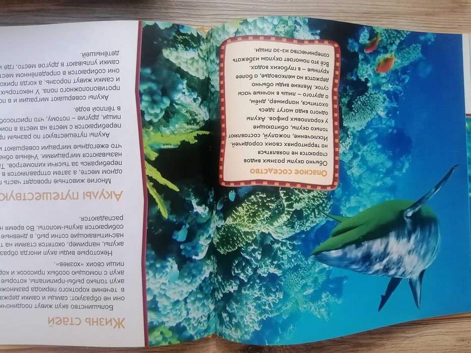 Животный мир. Reader's Digest.(14книг) (сер. Первое знакомство).