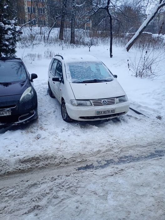 Продам шаран ...