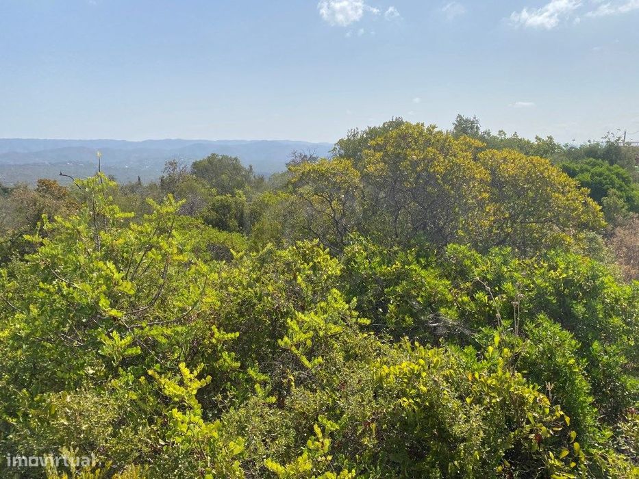 Lote de Terreno Rústico no Serro dos Passarinhos, Loulé, Algarve