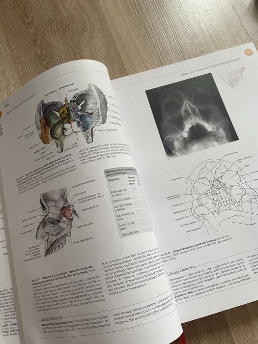 atlasy anatomiczne sobotta mianownictwo angielskie; tom 1, 2 i 3