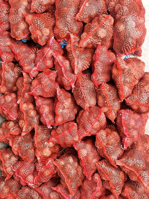 VENDO PINHAS e entrego ao domicilio !