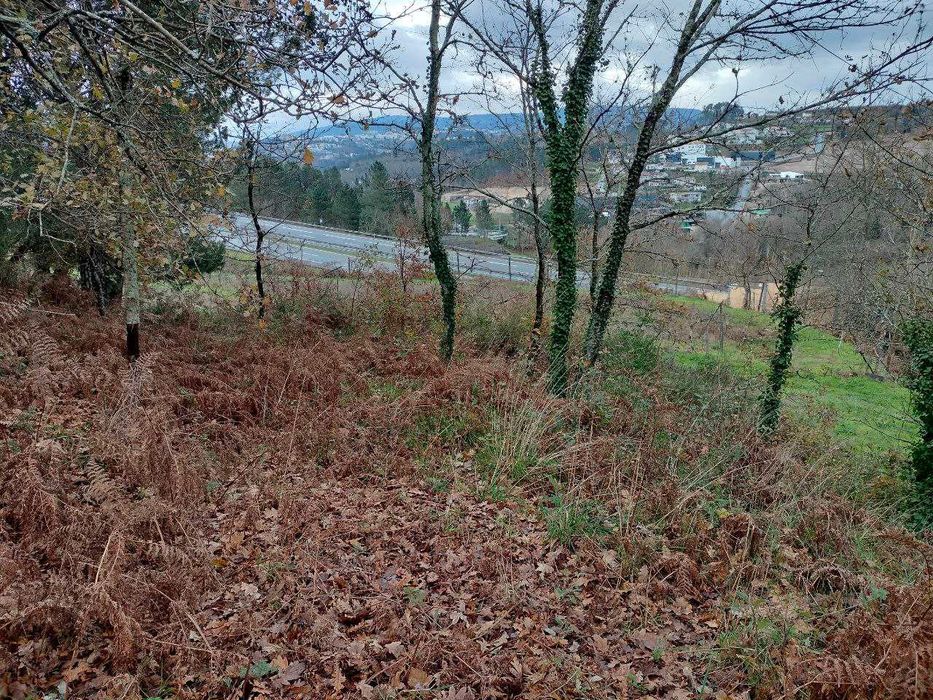 Terreno Agrícola 7.400 m² | Mina de Água | Livração | Arrendamento Rural 800 €/ano