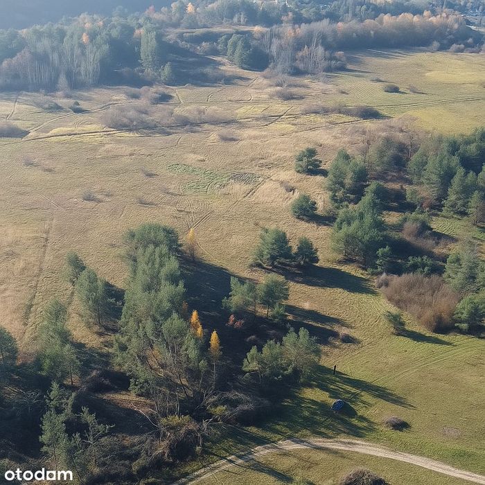 Sprzedam działkę budowlaną w Nowinach (woj. Świętokrzyskie)
