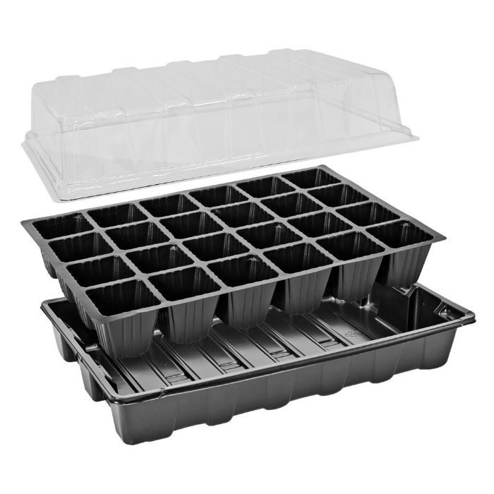 Mini szklarnia do sadzonek